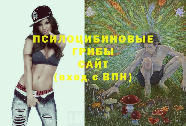 тгк Абдулино