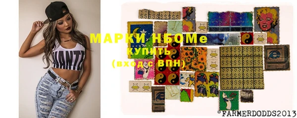 СК Новозыбков